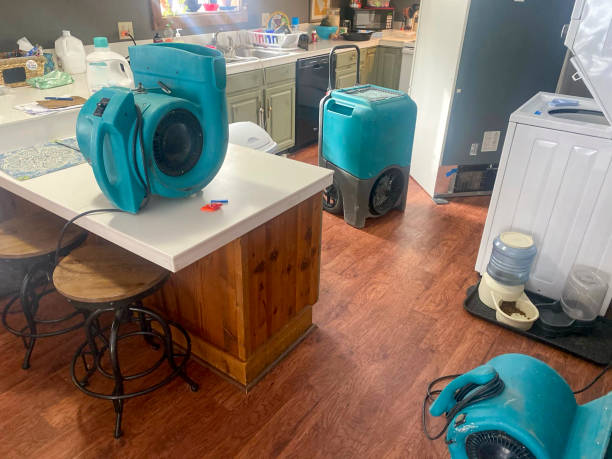 Best Emergency water damage restoration  in Masontown, PA