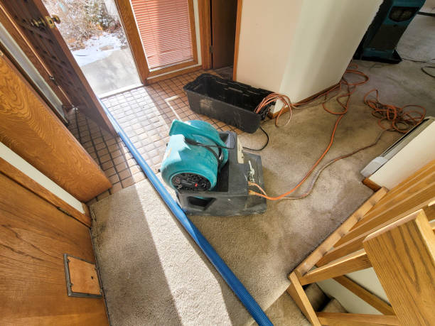 Best 24/7 water damage repair  in Masontown, PA