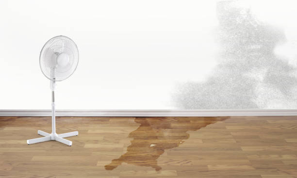 Best Professional water damage repair  in Masontown, PA