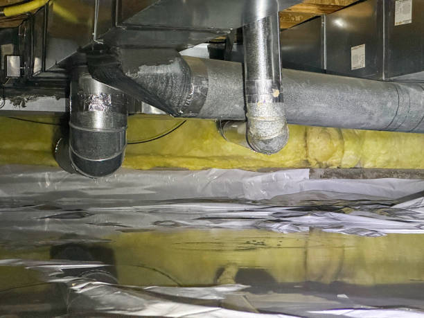 Best Fire Damage Restoration  in Masontown, PA