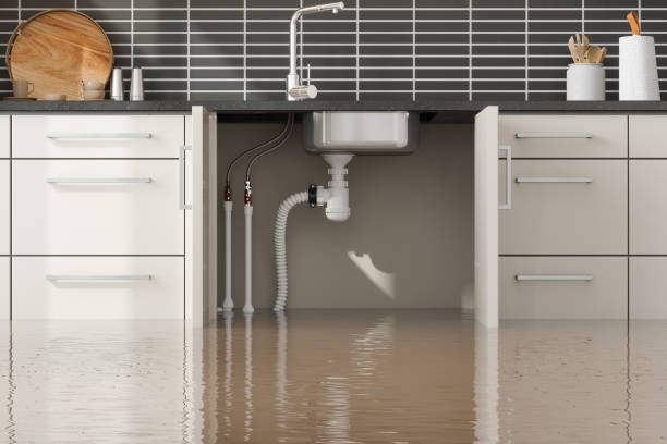  Masontown, PA Water damage restoration Pros