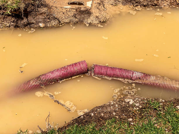 Best Mold removal after water damage  in Masontown, PA