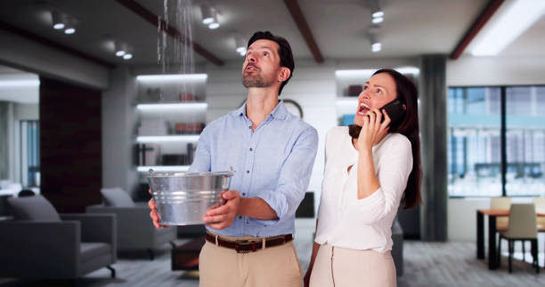 Best Carpet water damage restoration  in Masontown, PA